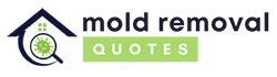 Orlando Mold Removal Experts